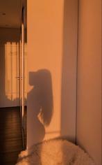 kleine eenzame duif, Contacten en Berichten, Advies en Oproepen