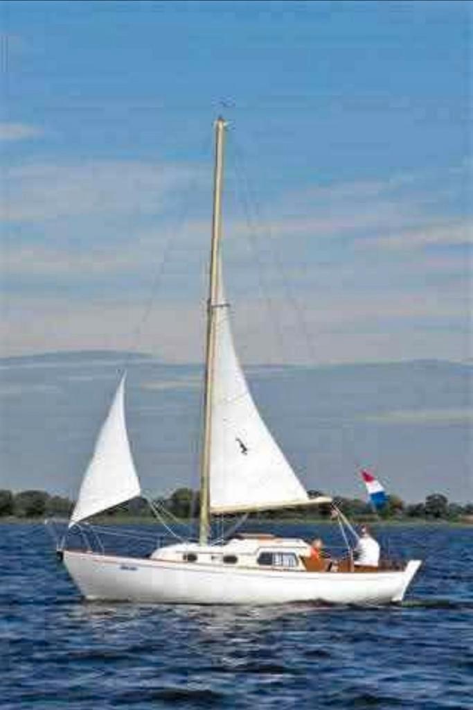 Zeilboot Sturgeon 22, Watersport en Boten, Zeilen en Zeiltoebehoren, Gebruikt, Minder dan 15 m², 6 meter of meer, Ophalen of Verzenden