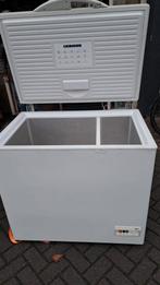 Diepvries, Witgoed en Apparatuur, Vriezers en Diepvrieskisten, Ophalen of Verzenden, Gebruikt