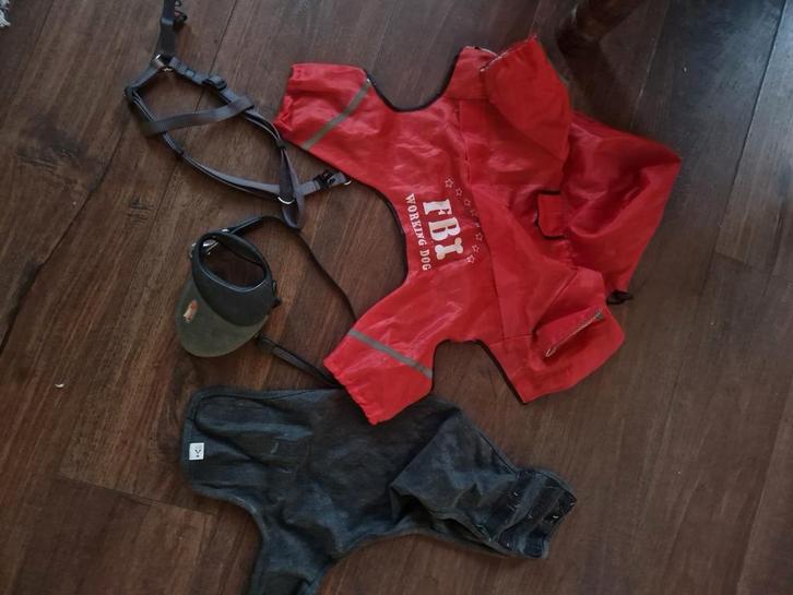 Kleine hond benodigheden. Alles voor 1 prijs., Dieren en Toebehoren, Hondenkleding, Zo goed als nieuw, Hondenjas, Ophalen of Verzenden
