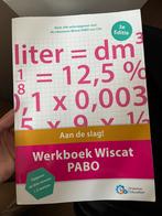 Wiscat oefenboek pabo, Ophalen of Verzenden, Overige niveaus