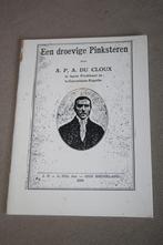 Ds. A.P.A. du Cloux - Een droevige Pinksteren, Boeken, Gelezen, Christendom | Protestants, Ophalen of Verzenden