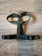 #teckel H-tuig pup, Ophalen of Verzenden, Handgemaakt, Zo goed als nieuw