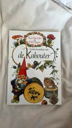 Rien - Leven en werken van de kabouter, Ophalen of Verzenden, Zo goed als nieuw, Schilder- en Tekenkunst, Rien