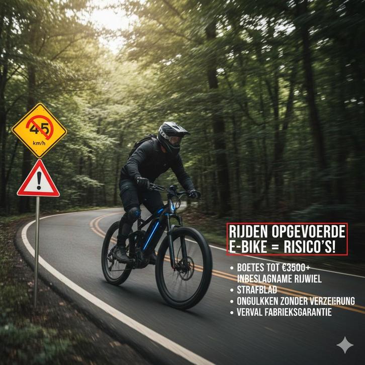 Opvoeren eBike - Eigen Risico!, Fietsen en Brommers, Elektrische fietsen, Overige merken, Ophalen