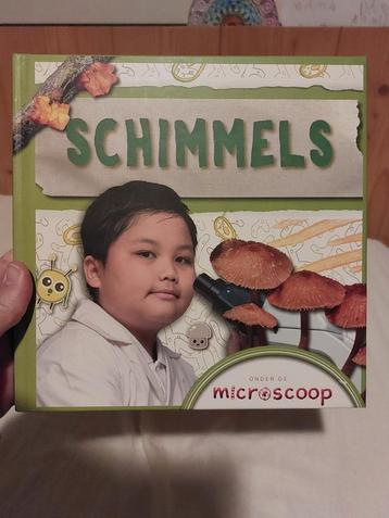 Holly Duhig - Schimmels beschikbaar voor biedingen