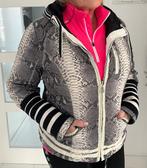 dames skijas Bogner mt 42,  2 kanten te dragen, zie foto’s, Kleding | Dames, Wintersportkleding, Bogner, Ophalen of Verzenden