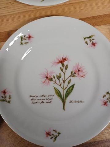 Libelle exclusief gebaks borden 5 stuks  beschikbaar voor biedingen