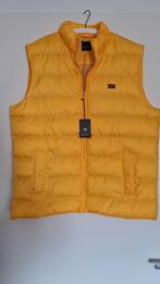 Gele Bodywarmer - Tony Montana - Nieuw! Maat XXL, Kleding | Heren, Geel, Nieuw, Overige maten, Ophalen of Verzenden