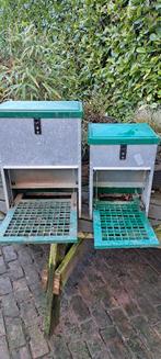 Complete set om kuikens uit te broeden en groot te brengen, Meerdere dieren, Kip