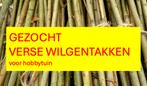 Gezocht: gratis verse WILGENTAKKEN  voor hobbytuin, Tuin en Terras, Ophalen, Volle zon, Overige soorten, Minder dan 100 cm