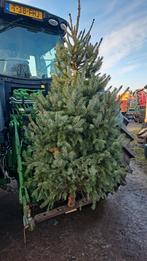 Kerstboom te koop, Tuin en Terras, Planten | Bomen, Ophalen