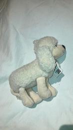 Happy horse peter poodle poedel, Ophalen of Verzenden, Nieuw, Hond