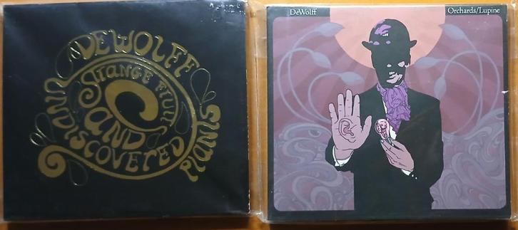 2x cd De Wolff, Cd's en Dvd's, Cd's | Rock, Zo goed als nieuw, Poprock, Ophalen of Verzenden