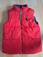 Bodywarmer Next maat 110, Kleding | Heren, Bodywarmers, Ophalen of Verzenden, Zo goed als nieuw, Overige maten, Zwart