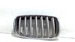 Grillerooster rechts BMW X5, Auto-onderdelen, Onderdelen@venauto.nl, Van der Ven Autorecycling B.V., Gebruikt, Ophalen of Verzenden