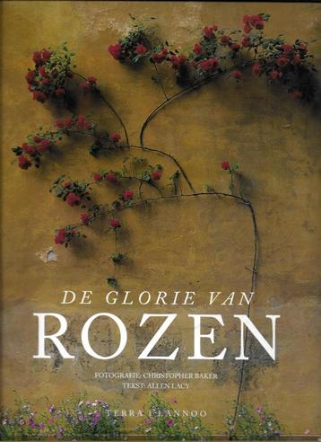 De glorie van rozen - Allen Lacy   beschikbaar voor biedingen