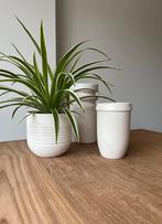 Vaas bolia / japandi, Wit, Aardewerk of Porselein, Ophalen of Verzenden, Zo goed als nieuw