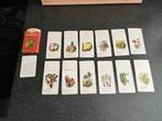 Kwartet van Verkade uit de jaren vijftig, Verzamelen, Speelkaarten, Jokers en Kwartetten, Ophalen of Verzenden, Zo goed als nieuw