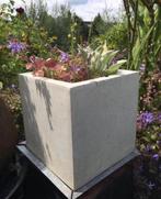 kubus bloempot wit inclusief bio tuinplanten, 25 tot 40 cm, Kunststof, Vierkant, Binnen