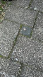 Gewassen grindtegels gratis af te halen/demonteren incl hulp, Tuin en Terras, Tegels en Klinkers, Ophalen, Gebruikt, Beton, Terrastegels