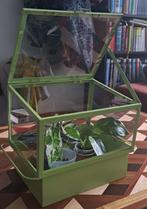 Kleine groene kweekkas/ plantenkas, Polycarbonaat, Kweekkas, Ophalen of Verzenden, Zo goed als nieuw
