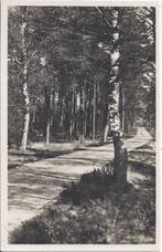 Hoenderloo De kronkelweg Oude Ongelopen Ansichtkaart ( B714, Ophalen of Verzenden, Ongelopen