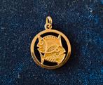 14 karaat hanger vissen, Sieraden, Tassen en Uiterlijk, Kettinghangers, Overige voorstellingen, Ophalen of Verzenden, Zo goed als nieuw