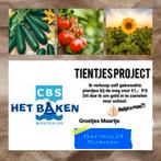 Groente- en zonnebloem plantjes, Ophalen, Minder dan 100 cm, Overige soorten