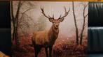 Schilderij met verlichting - Hert - AA Batterijen, Ophalen, Gebruikt, 50 tot 75 cm, Schilderij