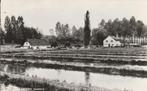gulpen- forellen kwekerij, Verzenden, 1940 tot 1960, Limburg