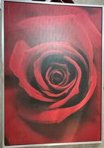 Roze foto, Ophalen of Verzenden