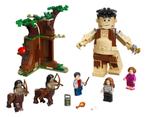 Lego Harry Potter Set 75967 - Umbridge's Encouter, Ophalen of Verzenden, Zo goed als nieuw, Complete set, Lego