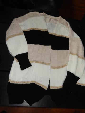 vest (beige/zwart) xl/xxl (zgan) beschikbaar voor biedingen