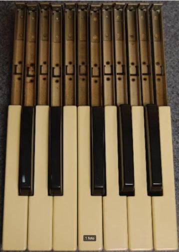 Hammond orgel toetsen (Spinet series)