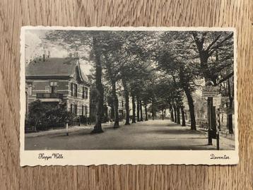 D685 Oude ansichtkaart Deventer : Kapjeswelle Kapjes Welle beschikbaar voor biedingen