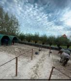 AANGEBODEN pensionstalling doe-het-samen stal Pijnacker, Dieren en Toebehoren, Stalling en Weidegang, Stalling