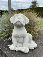 Betonnen boxer hond., Tuin en Terras, Tuinbeelden, Ophalen, Zo goed als nieuw, Beton, Dierenbeeld