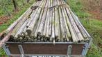 boompalen 250 cm, Tuin en Terras, Planten | Bomen, Ophalen of Verzenden, Volle zon, Overige soorten
