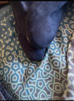 Suede laarzen blauw maat 37, Ophalen of Verzenden, Zo goed als nieuw, Blauw, Hoge laarzen