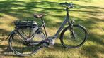 Elektrische damesfiets Pegasus Middenmotor Bosch 500 wh accu, 55 tot 59 cm, Ophalen, Zo goed als nieuw, Overige merken