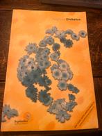 Zorgboek Diabetes - Gelezen, Ophalen of Verzenden, Gelezen, Ziekte en Allergie