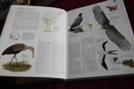 Elseviers vogelatlas, Ophalen of Verzenden, Gelezen, Vogels
