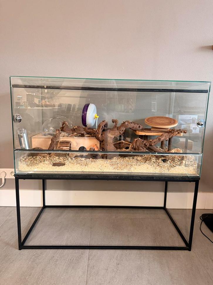 Terrarium met onderstel 50x100, Dieren en Toebehoren, Knaagdieren en Konijnen | Hokken en Kooien, Kooi, Minder dan 60 cm, 75 tot 110 cm
