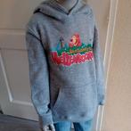 Hellendoorn Trui - Maat 118-128, Ophalen of Verzenden, Zo goed als nieuw, Slam Kids, Jongen of Meisje