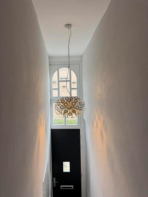 Moooi dandelion hanglamp, Huis en Inrichting, Lampen | Hanglampen, Zo goed als nieuw, Minder dan 50 cm, Ophalen of Verzenden