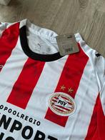 PSV 2026 VoetbalShirt | Maat L | Nieuw, Maat S, Ophalen of Verzenden, Nieuw, Shirt