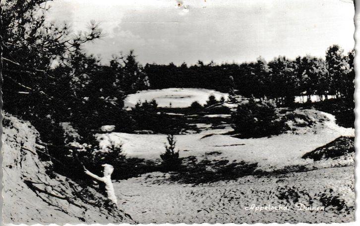 APPELSCHA - DUINEN, Verzamelen, Ansichtkaarten | Nederland, Gelopen, Friesland, 1960 tot 1980, Ophalen of Verzenden