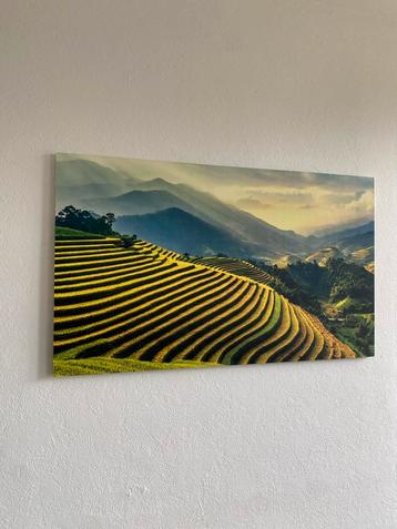 Canvas groen landschap 118 x 70 beschikbaar voor biedingen