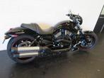 Harley-Davidson VRSCDX V ROD NICHTROD SPECIAL 1250, Motoren, Motoren | Harley-Davidson, Bedrijf, Chopper